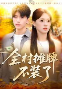 ȫ��̯�Ʋ�װ��