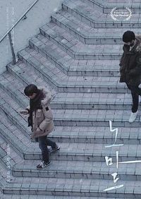 ��Ҫ������