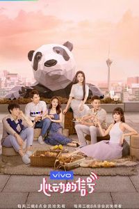 �Ķ����źŵ�����